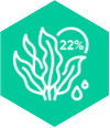 Seaweed fronds marked 22%