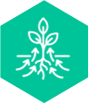 Plant drawing up fermented nutrients