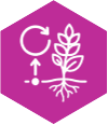 Nutrient cycling back through the crop