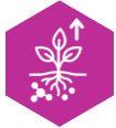 Plant taking up nutrient with a rising arrow