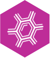 Reinforced hexagonal cell-wall lattice