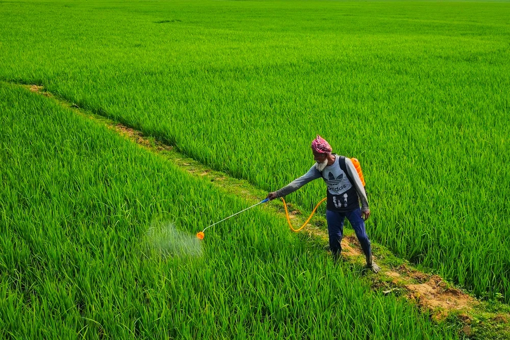 Farmer foliar-spraying a green field