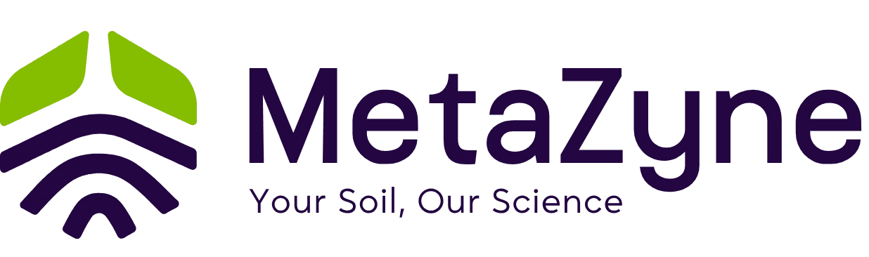 MetaZyne
