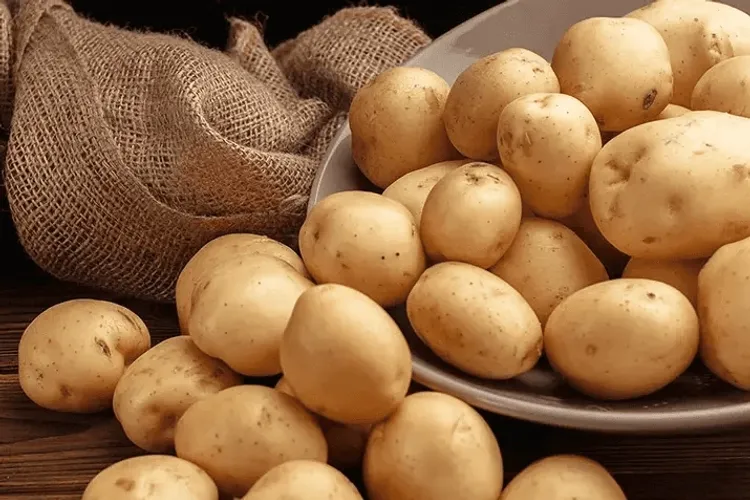 Freshly harvested potatoes on a plate