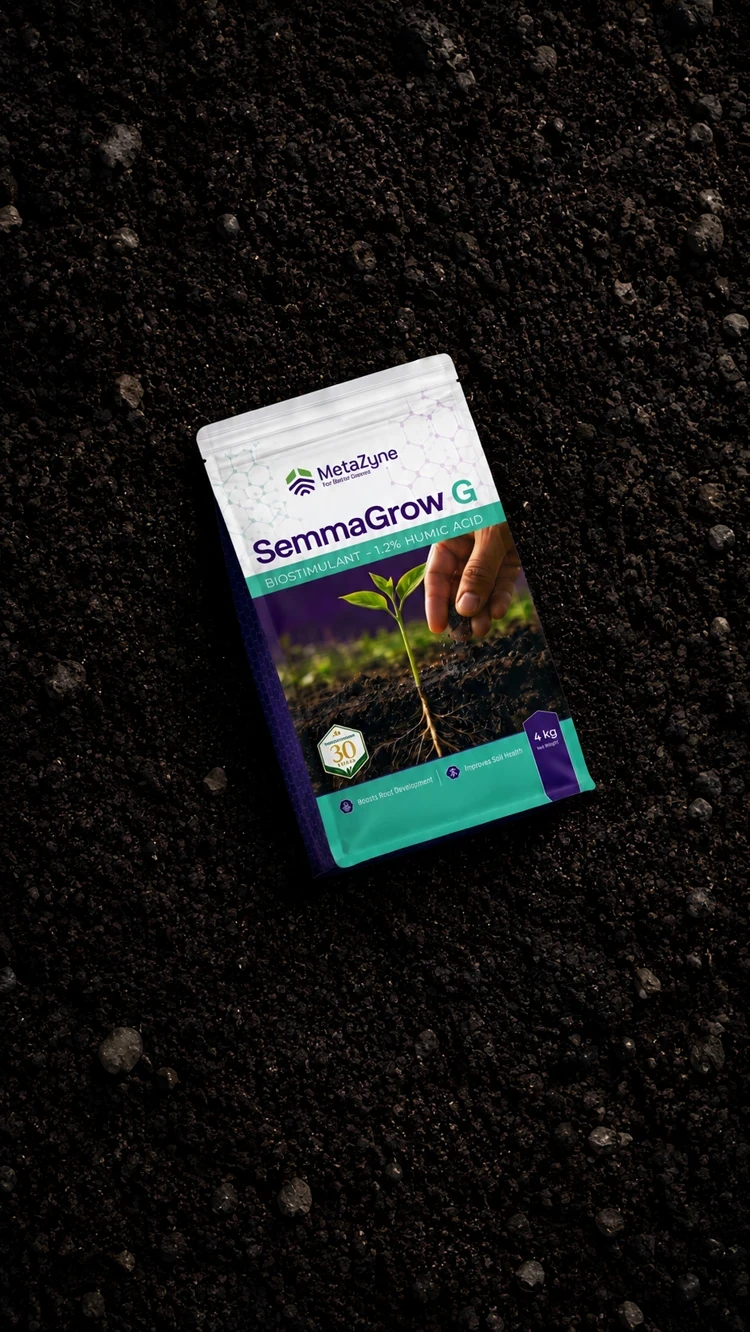 SemmaGrow G bag standing in soil between young crop rows, hand sprinkling granules