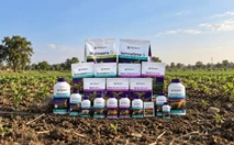 Full MetaZyne product lineup