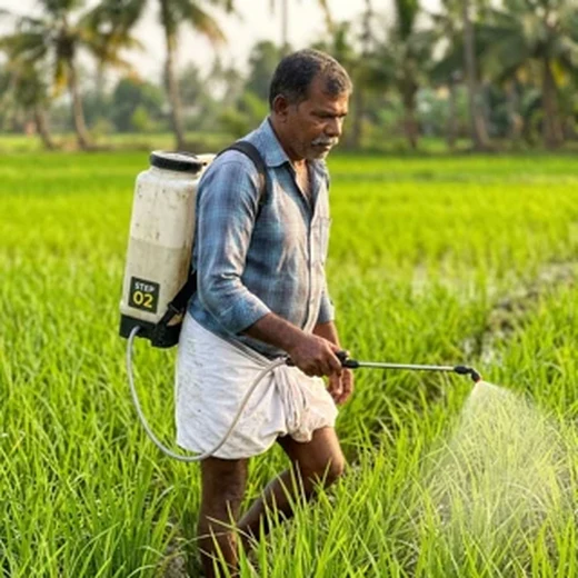 Spraying foliage beside the pack in a field